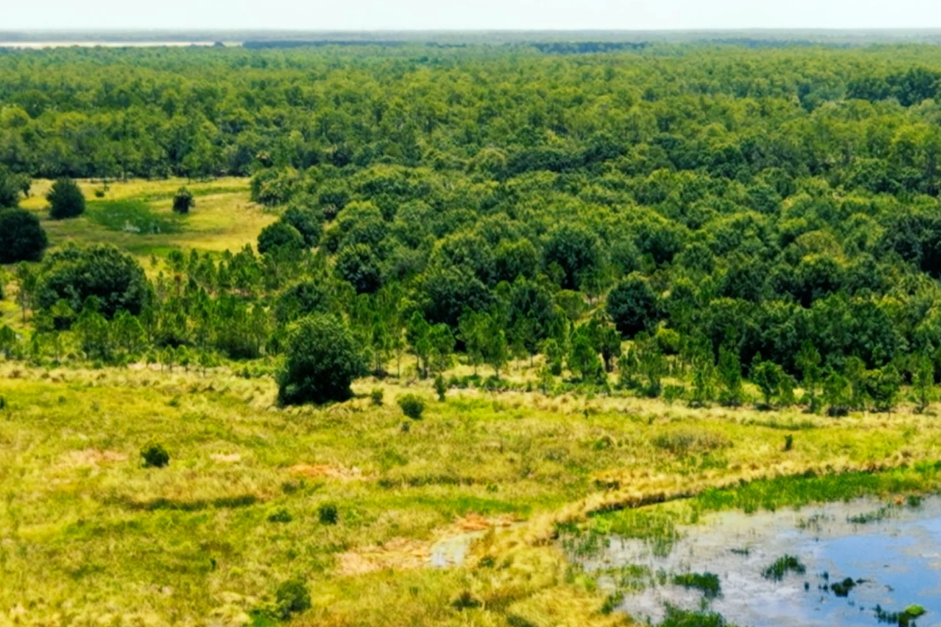 Panther Island Mitigation Bank