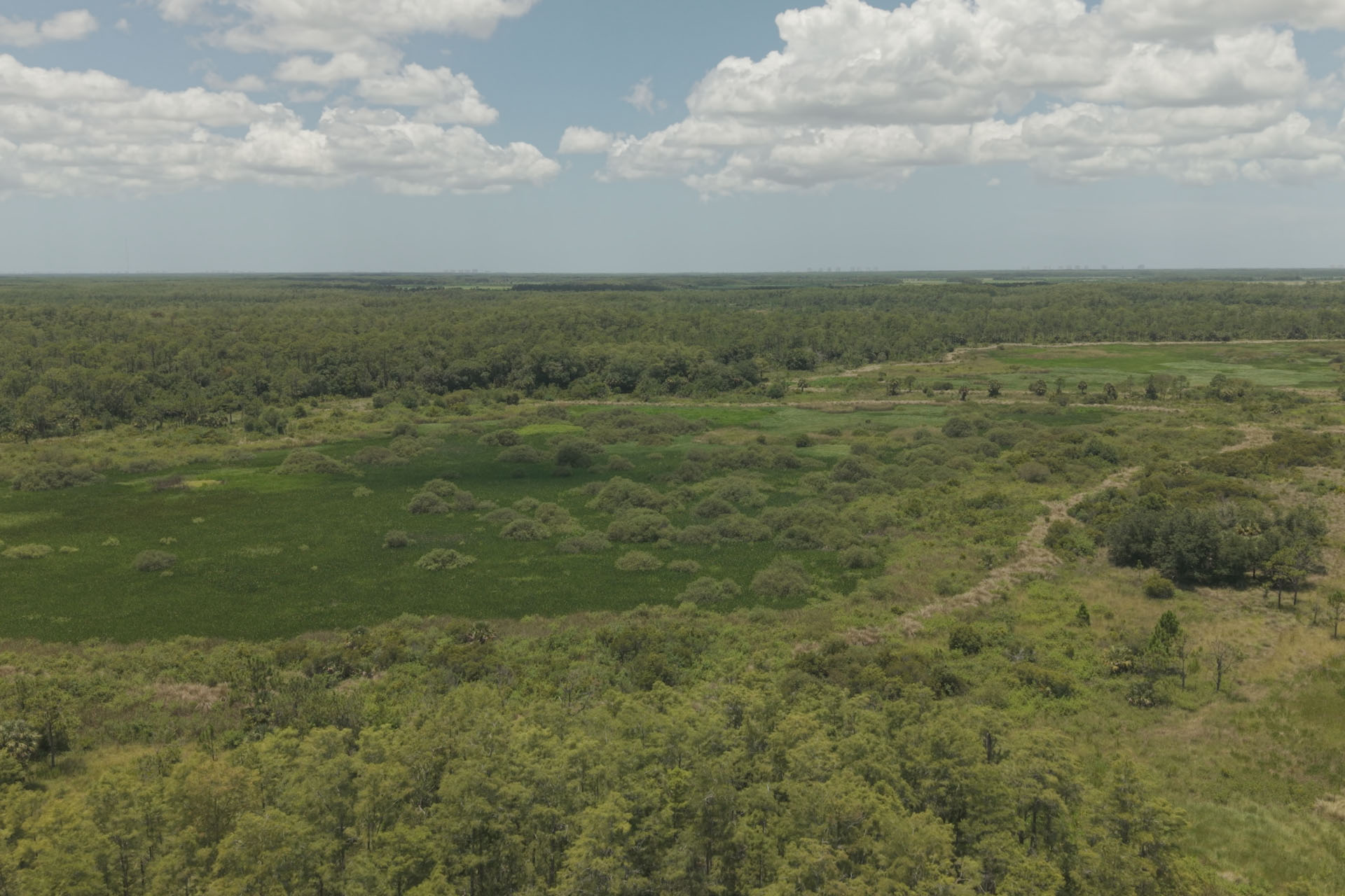 Panther Passage Mitigation Bank